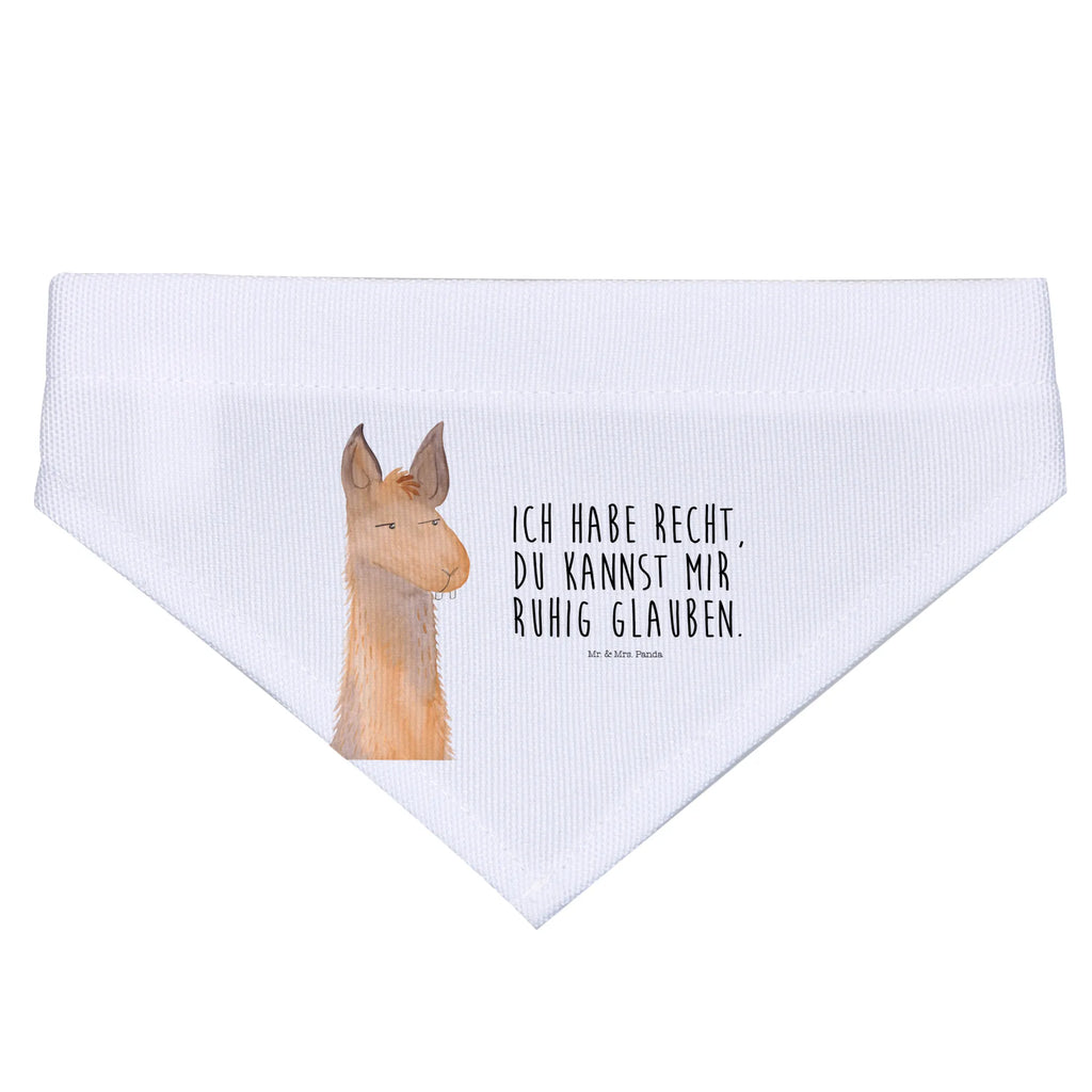 Chusta na szyję dla psa L głowa lamy zirytowany Tuch, Mittel, Halstuch, Hundehalstuch, Mittelgroße Hunde, Hunde, Alpaka, Lama, Chef, Genervt sein, Chefin, Freundin, Azubi, Partnerin, Lamas, Recht haben, Büro, Büroalltag, Beste Freundin