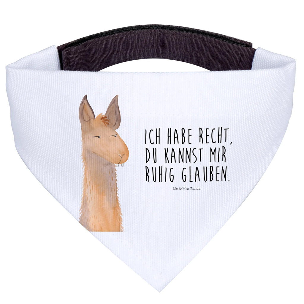 Chusta na szyję dla psa L głowa lamy zirytowany Tuch, Mittel, Halstuch, Hundehalstuch, Mittelgroße Hunde, Hunde, Alpaka, Lama, Chef, Genervt sein, Chefin, Freundin, Azubi, Partnerin, Lamas, Recht haben, Büro, Büroalltag, Beste Freundin