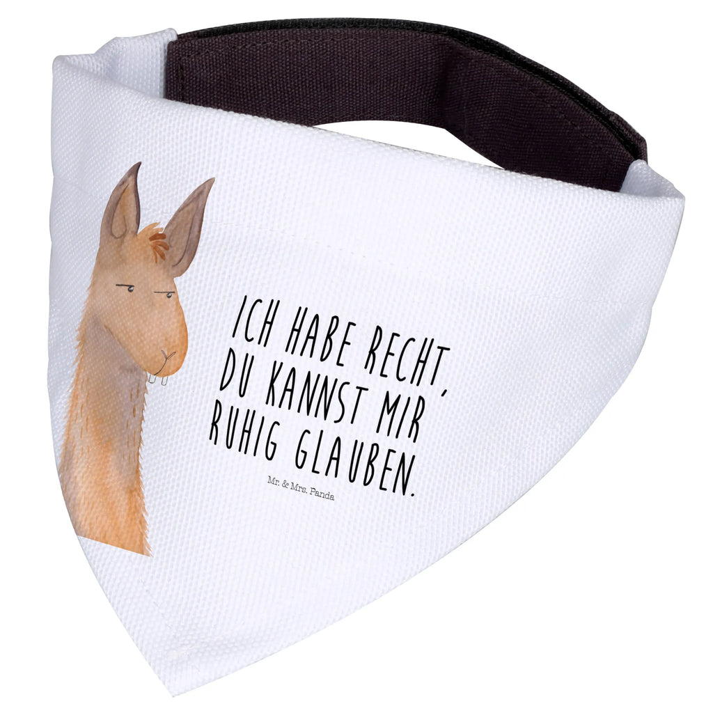 Chusta na szyję dla psa L głowa lamy zirytowany Tuch, Mittel, Halstuch, Hundehalstuch, Mittelgroße Hunde, Hunde, Alpaka, Lama, Chef, Genervt sein, Chefin, Freundin, Azubi, Partnerin, Lamas, Recht haben, Büro, Büroalltag, Beste Freundin