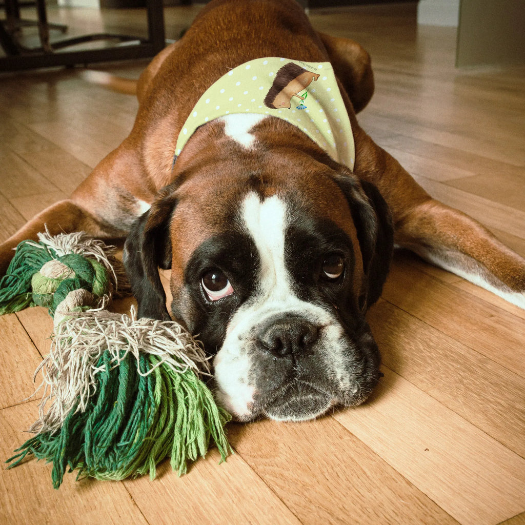 Hundehalstuch Igel Blumen Hunde, Halstuch, Tuch, kleine Hunde, klein, Hundehalstuch, Tiermotive, Gute Laune, lustige Sprüche, Tiere, Besuch, Krankheit, Genesungswünsche, Krankenhaus, Igel, krank, Gute Besserung