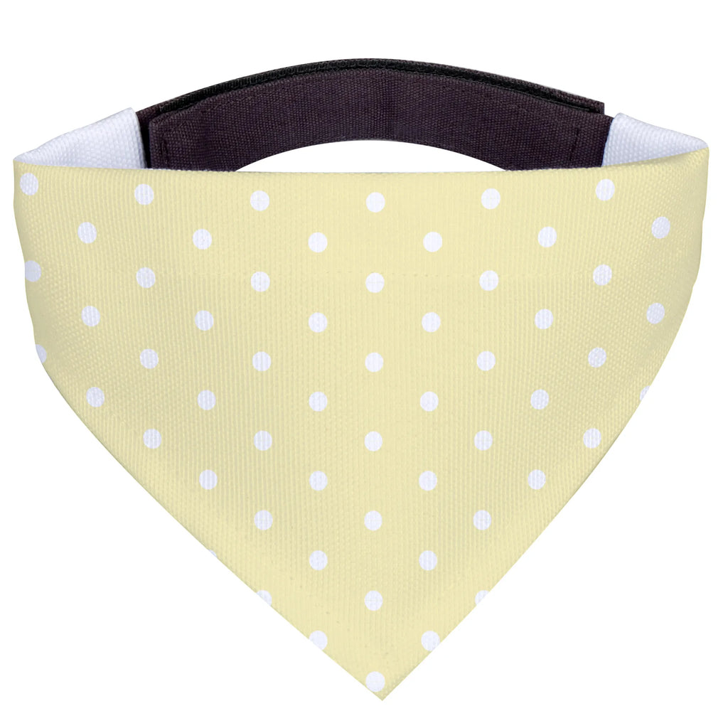 Hundehalstuch Waschbär Tuch, Hundehalstuch, klein, Hunde, kleine Hunde, Halstuch, Tiermotive, Gute Laune, lustige Sprüche, Tiere, Fröhlich, Waschbär, waschen, Plan, Seifenblasen, Tagträumen