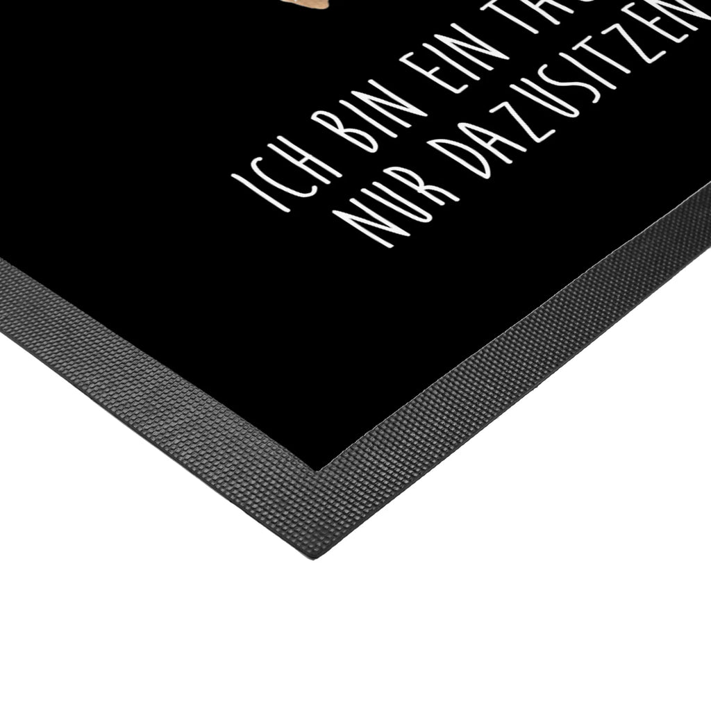 Fußmatte Robbe Lachen Eingangsteppich, Fussmatte, Schmutzmatte, Schmutzfangteppich, Schuhabstreifer, Eingangsmatte, Sauberlaufmatte, Schmutzfangmatte, flurmatte, schmutzfangmatten, matte haustür, türmatten, Türmatte, Fußmatten, hausmatte, fußmatte, außenmatte, Abtretmatte, Türvorleger, sauberlaufmatten, Haustürmatte, abstreifer, Abtreter, Fußabstreifer, Schmutzfänger, Fußabtreter, Gute Laune, Tiermotive, Lustige Sprüche, Tiere, Strand, Meerestier, Seehund, Robbe, Nordsee, Ostsee, Robben