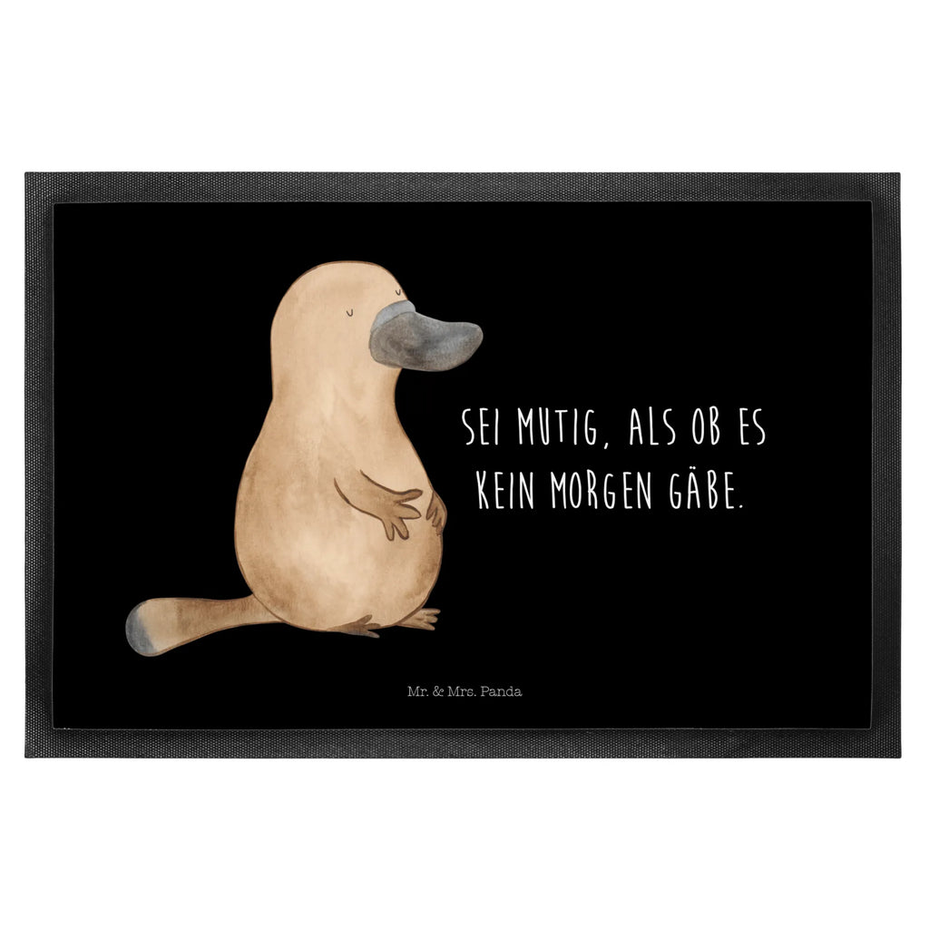 wycieraczka dziobak Odwaga Zwierzeta morskie, Morze, Wakacje