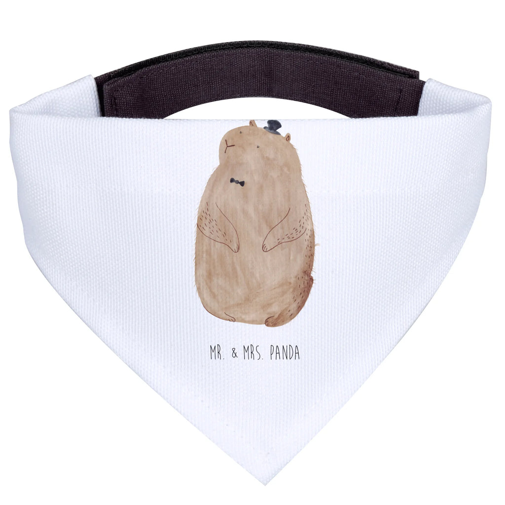 Hundehalstuch Murmeltier Mittelgroße Hunde, Mittel, Tuch, Hundehalstuch, Halstuch, Hunde, Lustige Sprüche, Tiere, Tiermotive, Gute Laune, Fröhlichkeit, Respekt, Freundlichkeit, Knigge, Murmeltier, Anstand
