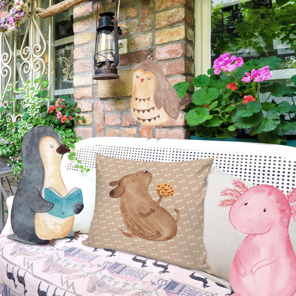 40x40 poduszka pies ciastko Couchkissen, microfaser kopfkissen, Dekokissen Sofa, Sofakissen 40x40, Dekokissen, zier kissen, kissen 40 x 40, wohnzimmer kissen, microfaser sofakissen, Mikrofaser Kissen, Kissen 40x40, Polsterkissen, Kissen, zierkissen 40x40, 40x40 kissen, wurfkissen, couchkissen 40x40, kissen mikrofaser, Zierkissen, couch kissen, microfaser dekokissen, kissen für sofa, 40 X 40 Kissen, Motivkissen, Kopfkissen, kissen für couch, kuschel kissen, Kuschelkissen, Kopfkissen 40x40, deko kissen, kuschelkissen 40x40, Dekokissen 40x40, Sofakissen, sofa kissen, microfaser zierkissen, Sprüche, Hundemotiv, Haustier, Tierliebhaber, Hundebesitzer, Hunderasse, Hund, Hundeleckerli, Hundesnacks, Leckerli, Hundekekse