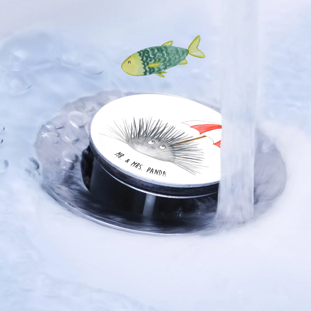 Korek do umywalki Jeżowiec Zwierzeta morskie, Morze, Wakacje