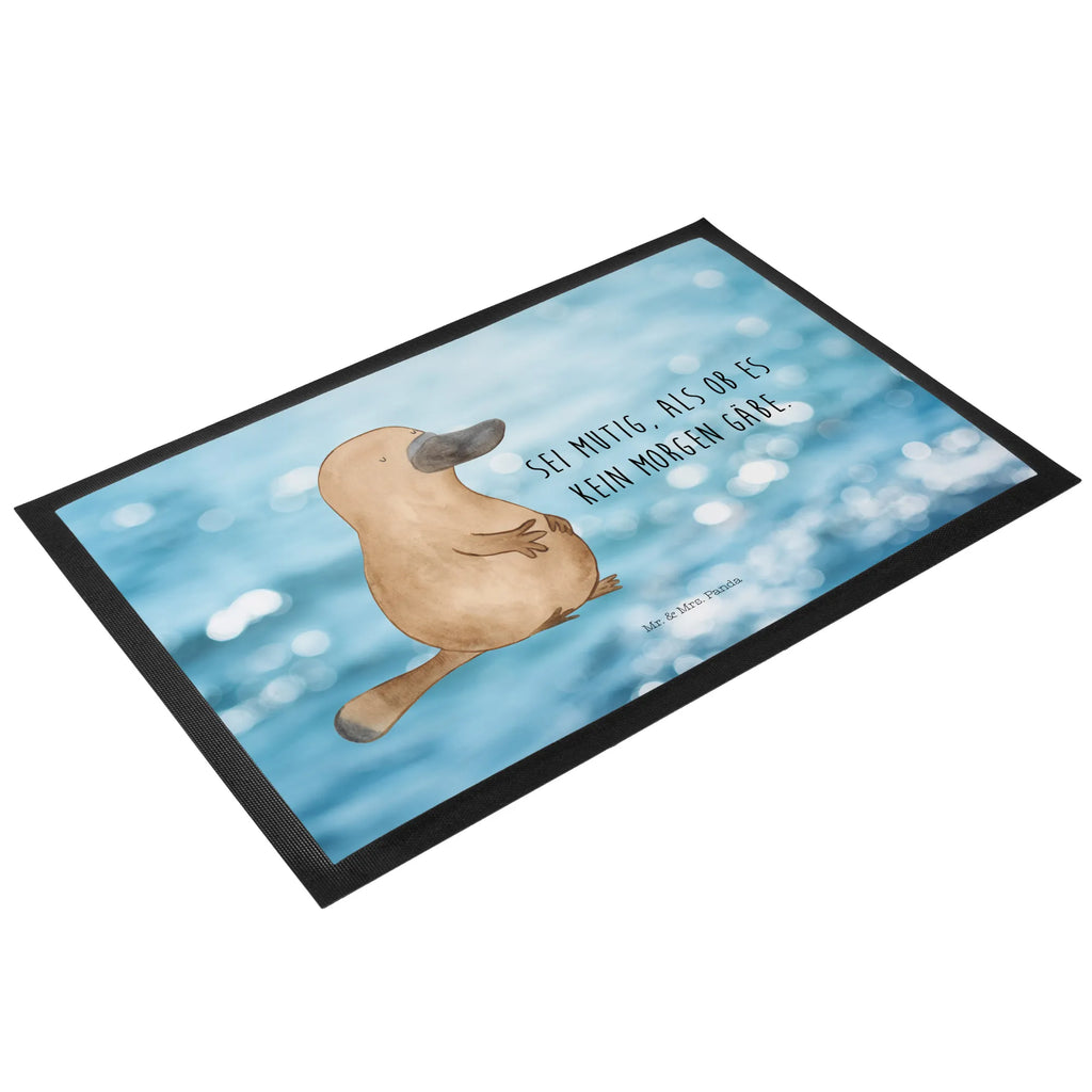 wycieraczka dziobak Odwaga Zwierzeta morskie, Morze, Wakacje