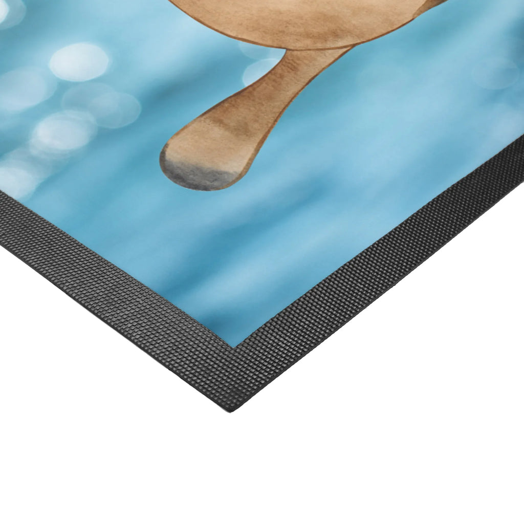 wycieraczka dziobak Odwaga Zwierzeta morskie, Morze, Wakacje