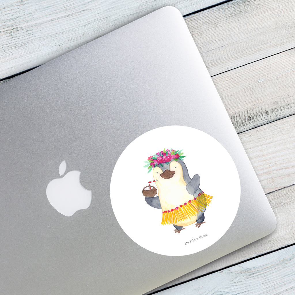 Rund Aufkleber Pinguin Kokosnuss Sticker, Aufkleber, Etikett, Kinder, rund, Pinguin, Aloha, Hawaii, Urlaub, Kokosnuss, Pinguine