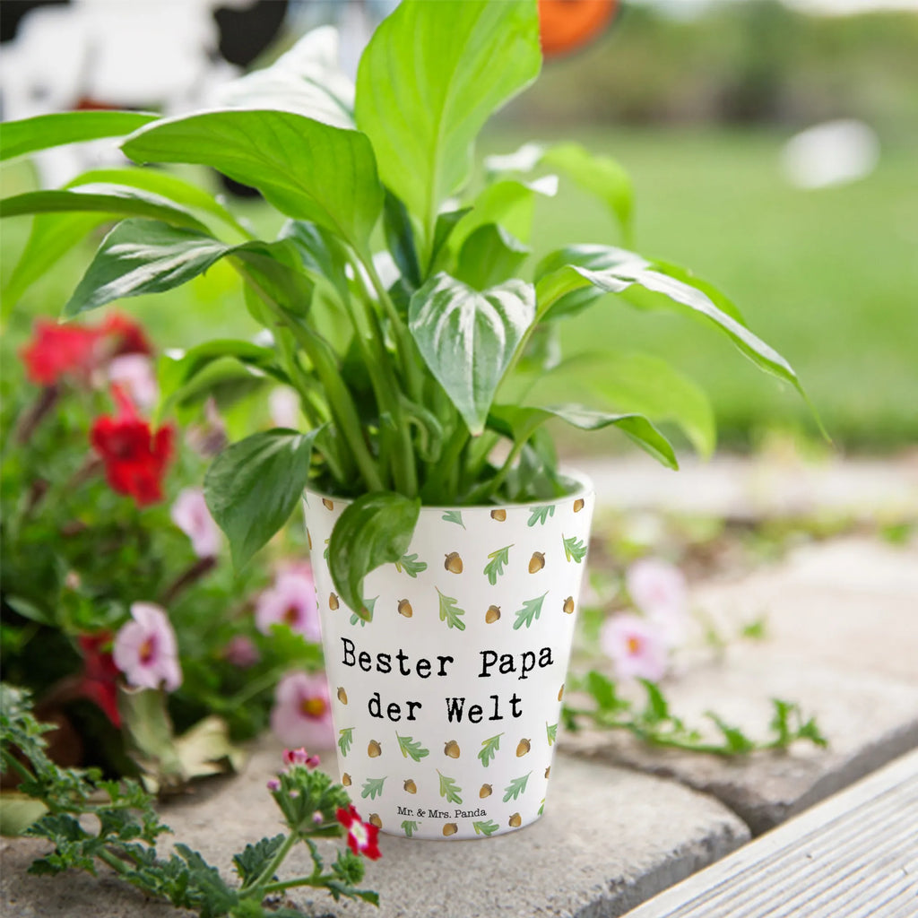 donica Najlepszy Tata świata Dekoracje kwiatowe, dekoracje wiosenne, dekoracje letnie, dekoracja, pozytywna wiadomość, miłośnik natury, na zewnątrz, natura, przygoda