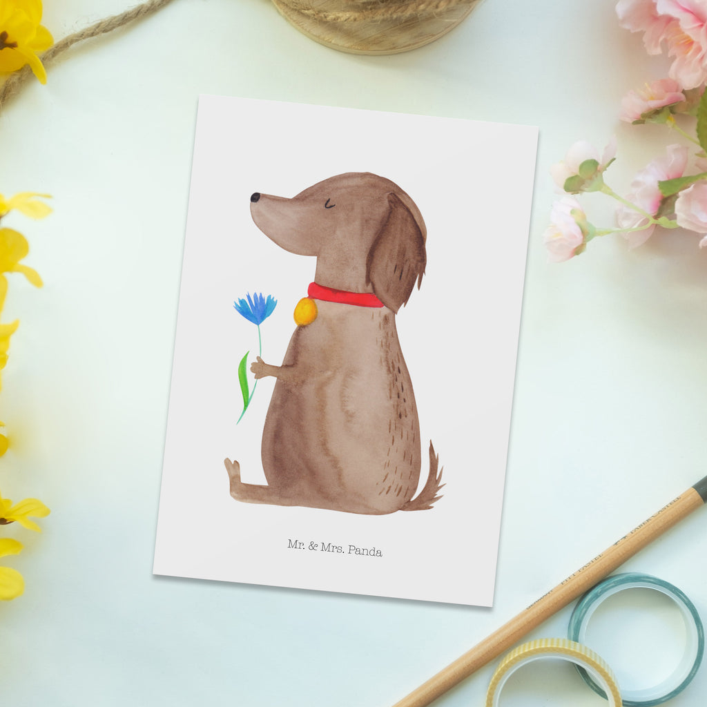 Postkarte Hund Blume Postkarte, Karte, Geschenkkarte, Grußkarte, Einladung, Ansichtskarte, Geburtstagskarte, Einladungskarte, Dankeskarte, Hund, Hundemotiv, Haustier, Hunderasse, Tierliebhaber, Hundebesitzer, Sprüche, Hunde, Frauchen, Hundeliebe